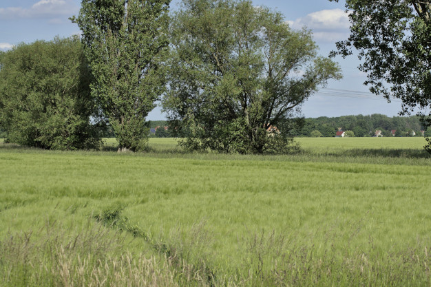 Eingebettet in gesunder Natur ...