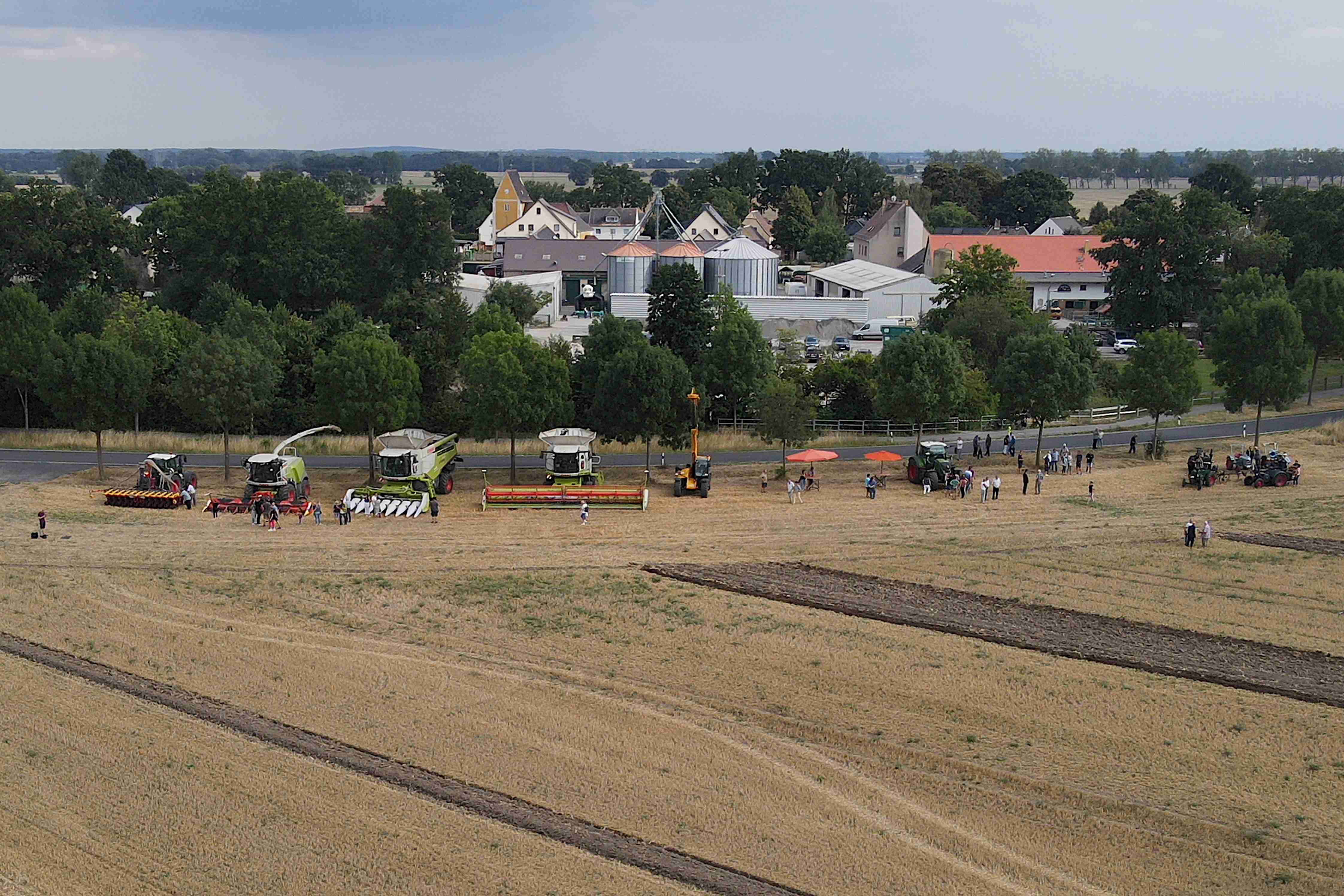 ... liegen unsere Felder ...